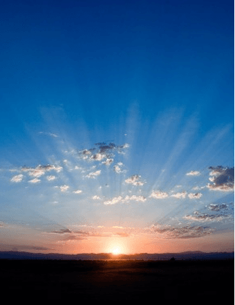 Olga E (Dahams) Koshar Obituary