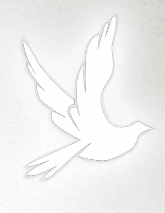 Yvette Williams Obituary